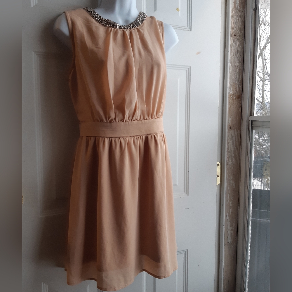 Pink Chiffon Dress
